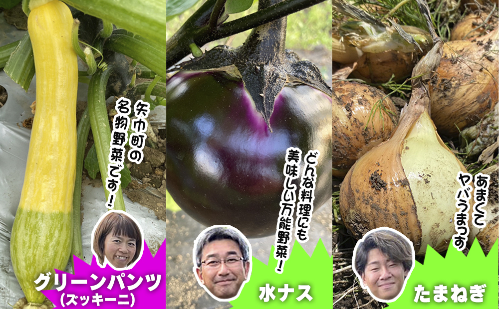 数量限定　矢巾町産　夏野菜セット【10種】7月発送