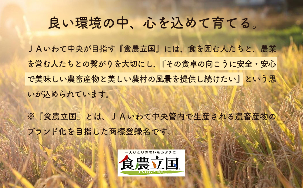 JAいわて中央の美味しい西洋梨　ゼネラル・レクラーク5kg(13玉～20玉)　11月中旬から発送予定