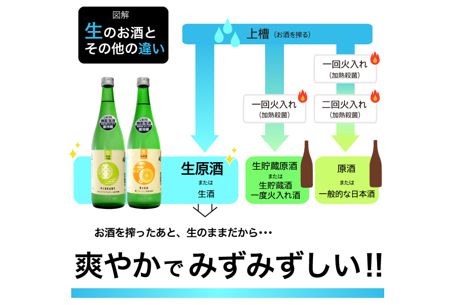 蔵埠頭COLOR 生原酒 日本酒 飲み比べ 720ml×2本セット あさ開 あさびらき 生酒 お酒