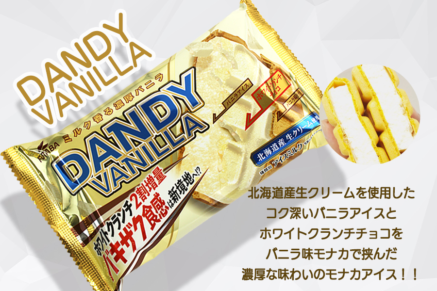 フタバ食品　アイス20個　ダンディーチョコレート＆バニラセット　2種類各10個
