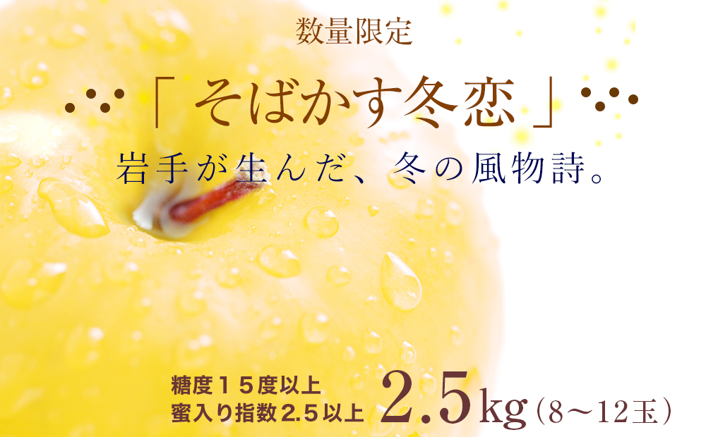 【数量限定】12月発送　糖度15.0以上　『そばかす冬恋』2.5ｋｇ（8玉～12玉）