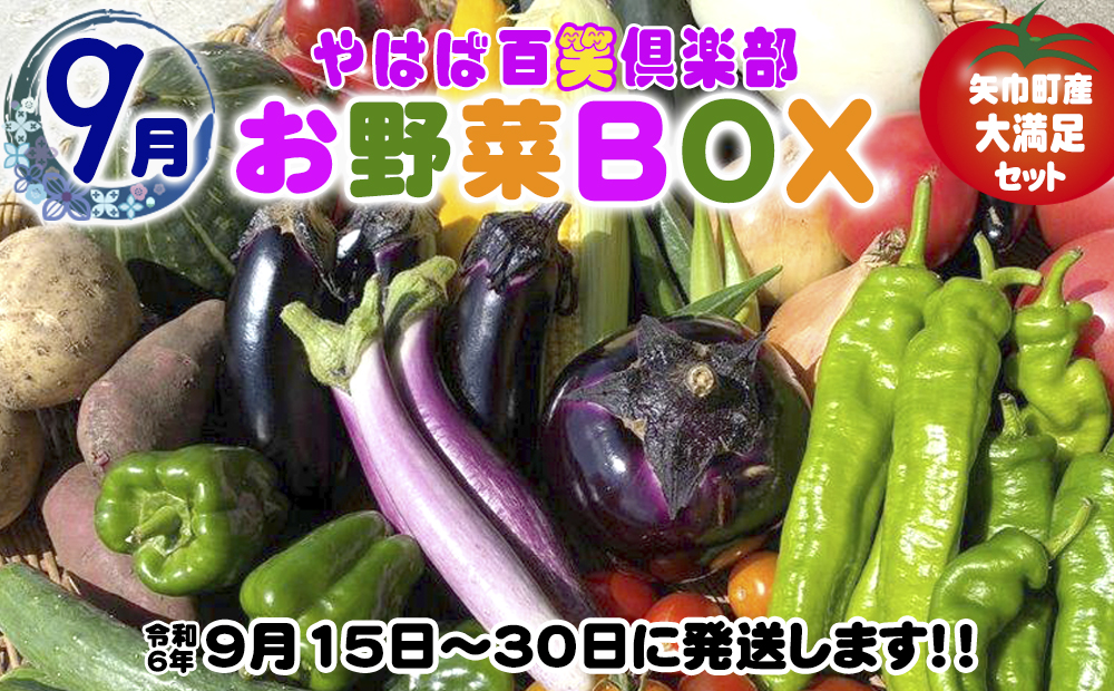 数量限定　矢巾町産　秋野菜セット【10種】9月発送