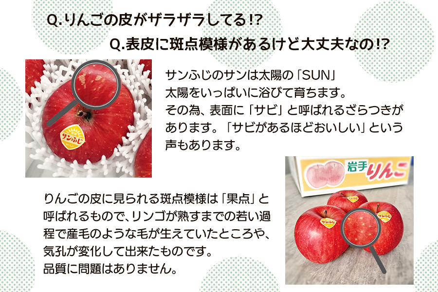 高橋りんご園　『サンふじ』3kg(8～10玉)　フルーツキャップ付き　贈答用にもオススメ！