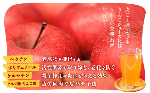 搾りたて果汁100％！無添加りんごジュースお楽しみ６本セット　訳あり