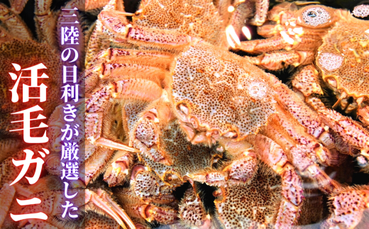 【令和8年発送】【期間限定2026年3月〜4月発送】三陸産 三陸活毛ガニ 300g×4杯【05】