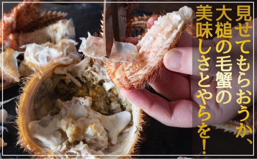 【訳あり】【令和9年発送】三陸産！活毛ガニ 1kg (2杯)【08】【2027年2月～4月発送】【配送日指定不可】
