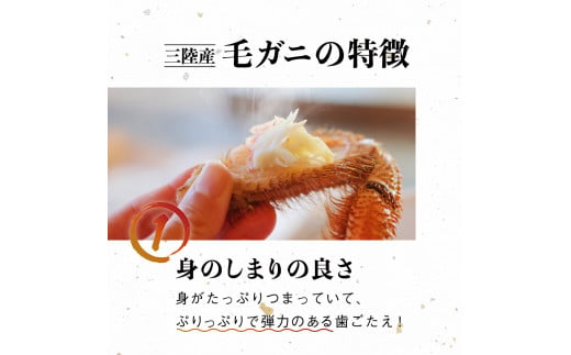 【訳あり】【令和9年発送】三陸産！活毛ガニ 1kg (2杯)【08】【2027年2月～4月発送】【配送日指定不可】