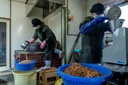 縲2026蟷エ5譛医h繧顔匱騾√大鴻蜻ウ蝎 1kgテ2繝代ャ繧ッ