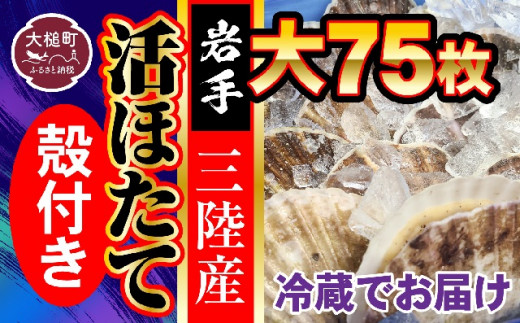 ■朝獲れ 三陸 活ホタ セット (大75枚) 生食用