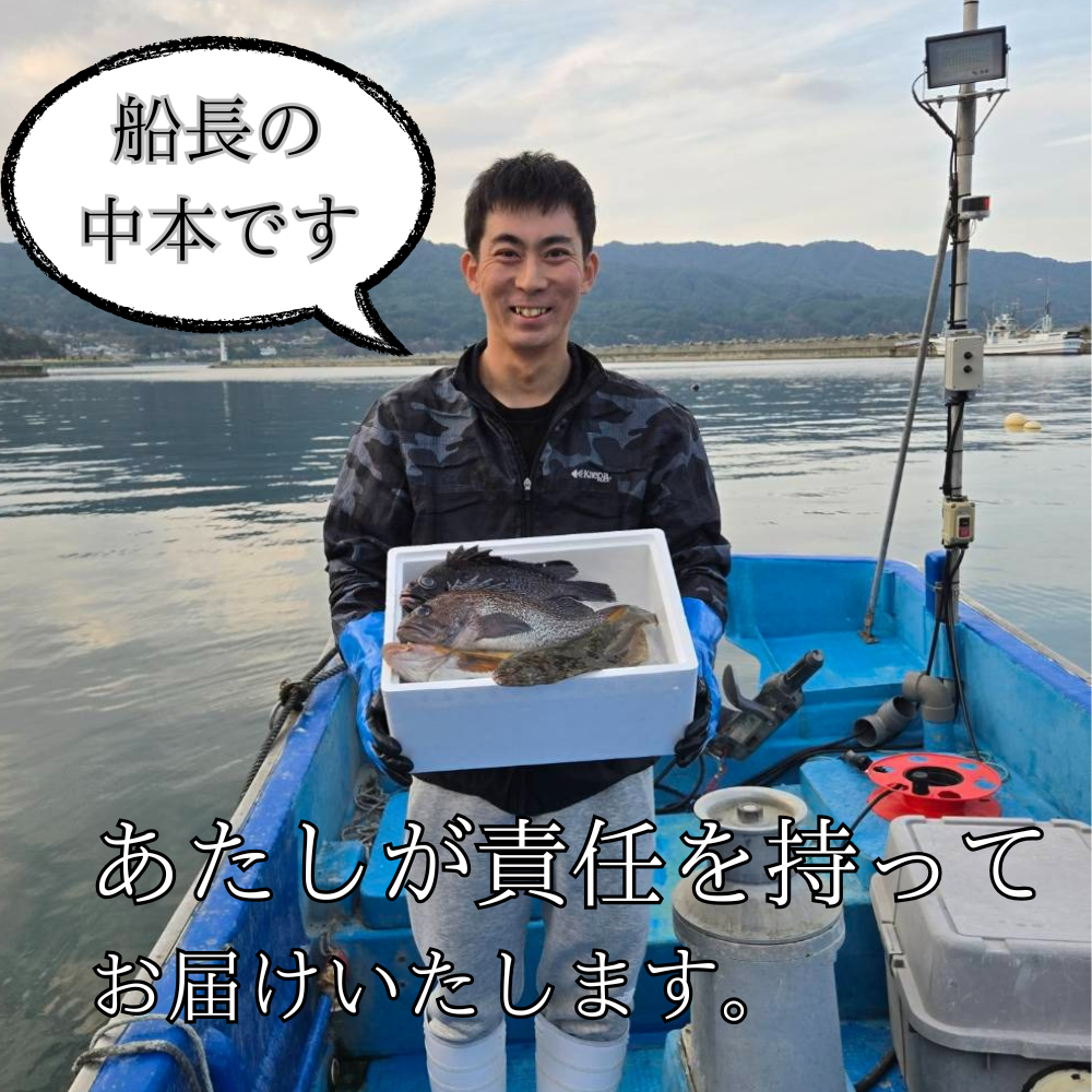 漁師直送！お任せ魚介類の詰め合わせ 1.5kg～2kg 【オリジナルクリアファイル付き】【期間限定1月～3月発送】