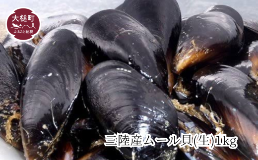 【令和7年1月より発送】三陸産ムール貝(生)1kg(20個前後)