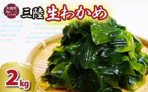 逕溘o縺九a 2kgシ1kgテ2繝代ャ繧ッシ峨3譛域忰ス4譛育匱騾√