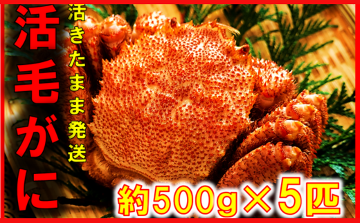 【令和8年発送】【期間限定2026年3月〜4月発送】三陸産 三陸活毛ガニ 500g×5杯(匹)【配送日指定不可】【05】　