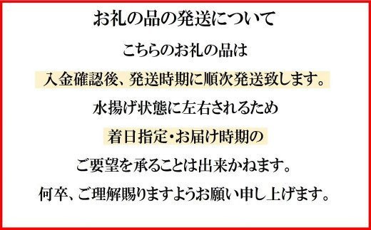 【令和7年6月発送】三陸産生うに100g×3パック【配送日指定不可】［35］《キタムラサキウニ》《無添加》《三陸産は濃厚な味》 魚貝類 雲丹 塩水  魚介 海産物 海の幸 うに丼 刺身  朝どれ