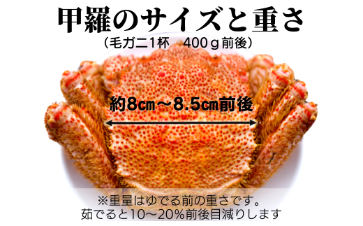 【令和7年発送】【期間限定3月〜4月発送】三陸産　三陸活毛ガニ400g×1杯 (1尾)【配送日指定不可】　