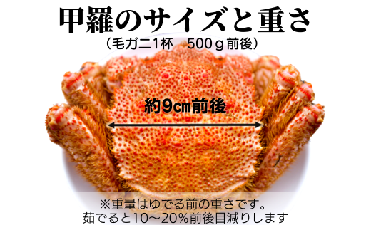 【令和7年発送】【期間限定3月〜4月発送】三陸産 三陸活毛ガニ 500g×1杯 (1尾)【配送日指定不可】　 