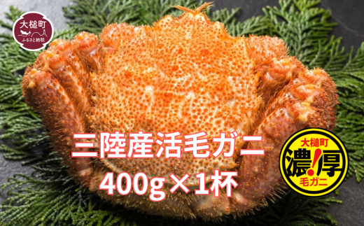 【期間限定！2026年3月〜4月発送先行予約】三陸産活毛ガニ400g相当×1杯 (1尾)【配送日指定不可】