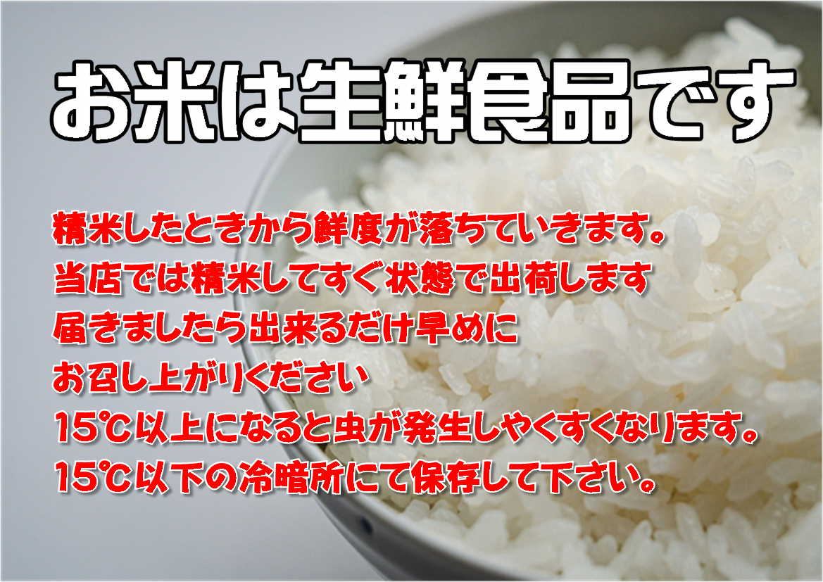 ミラノマガジン掲載 令和6年産 岩手県 産 ひとめぼれ 10kg(5kg×2袋)