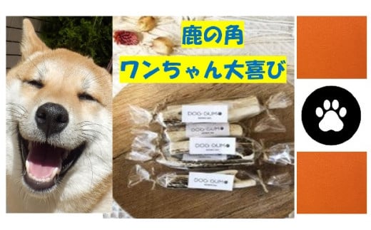 【ジビエ】犬のおもちゃ・ドッグフードのセット（小型犬用）
