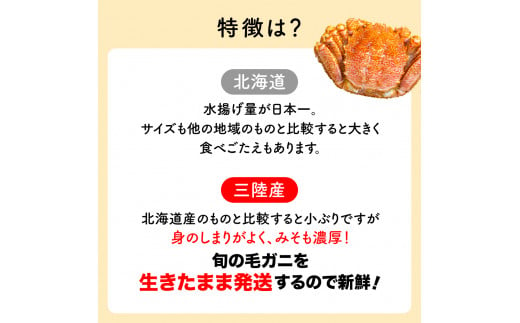 【令和7年発送】三陸産！活毛ガニセット  400g相当×4杯【2025年2月~4月発送】【配送日指定不可】 