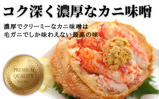 【令和7年発送】【期間限定3月〜4月発送】三陸産　三陸活毛ガニ　300g×2杯 (2尾)　【配送日指定不可】