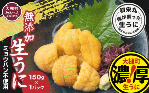 【令和8年6月発送先行予約】三陸産 生うに 150g×1パック【35】
