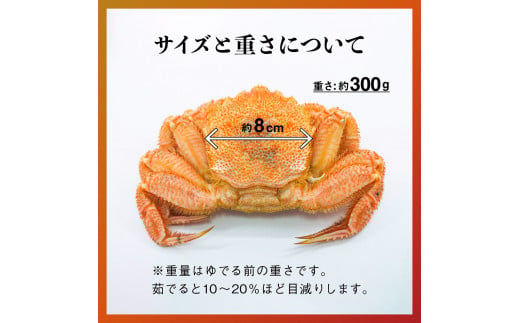 【令和7年発送】三陸産！活毛ガニセット  300g相当×2杯【2025年2月~4月発送】【配送日指定不可】