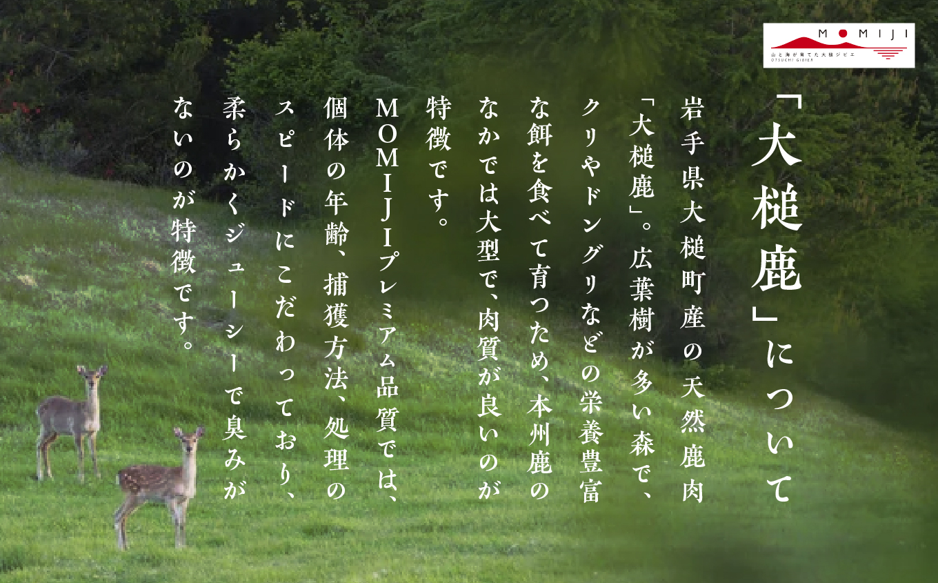 縲仙、ア謨励↑縺暦シ∝ュ蝉セ帙°繧牙、ァ莠コ縺セ縺ァ螟ァ莠コ豌励ョ蜻ウ莉倥¢縲大、ァ讒碁ケソ縺ョ鮖ソ繧ク繝ウシ磯ケソ閧峨ず繝ウ繧ョ繧ケ繧ォ繝ウ縺ョ繧ソ繝ャ貍ャ縺托シ400g 蟯ゥ謇狗恁逕」 螟ゥ辟カ鮖ソ 鮖ソ閧 蜻ウ莉倩i 繧ク繝ウ繧ョ繧ケ繧ォ繝ウ 繧ク繝薙お 繝倥Ν繧キ繝シ 菴弱き繝ュ繝ェ繝シ 縺、縺セ縺ソ 縺翫°縺 縺秘」ッ縺ョ縺贋セ 襍、霄ォ 蜀キ蜃 蜉蟾・閧 繧ョ繝輔ヨ