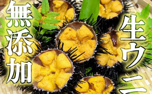 縲蝉サ、蜥8蟷エ逋コ騾∝郁。御コ育エ縲代守函縺縺ォ縲150gテ2譛ャ縲2026蟷エ4譛井ク区流ス8譛育匱騾√代15縲