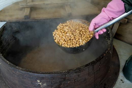 縲2026蟷エ5譛医h繧顔匱騾√大鴻蜻ウ蝎 1kg