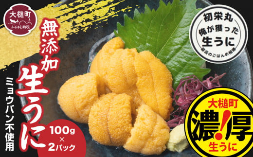 【令和7年6月発送】三陸産生うに100g×2パック【配送日指定不可】［35］《キタムラサキウニ》《無添加》《三陸産は濃厚な味》 魚貝類 雲丹  塩水  魚介 海産物 海の幸 うに丼 刺身  朝どれ