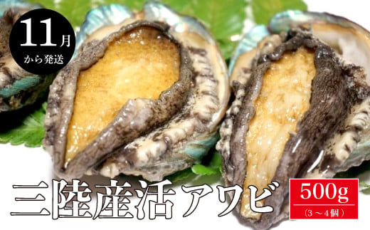 【期間限定11月〜12月発送】【配送日・曜日指定不可】三陸産活アワビ 約500g（3〜4個）