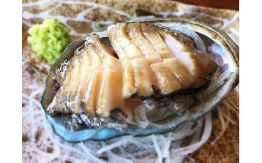【※訳あり※】【11月～12月発送】三陸産！活アワビ 約1kg (6～10個)【数量限定】【08】｜冷蔵 三陸 岩手県 大槌町 あわび 人気 鮑 いわて iwate 2026 魚貝 鮮度抜群【配送日・曜日指定不可】