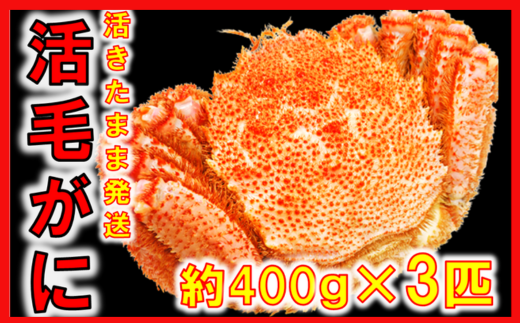 【令和8年発送】【期間限定2026年3月〜4月発送】三陸産 三陸活毛ガニ 400g×3杯(匹)【配送日指定不可】【05】　