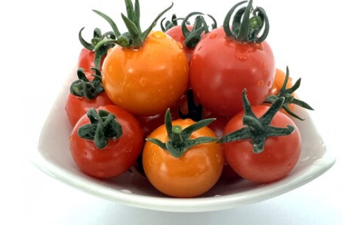 【ミニトマト約100個分をぎゅっと詰め込んだ】和ちゃん農園のミニトマトジュース(720ml×2本)