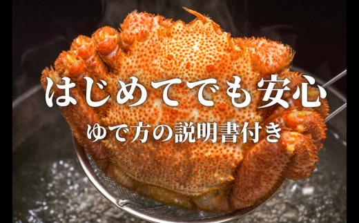 【令和7年発送】【期間限定3月〜4月発送】三陸産　三陸活毛ガニ　300g×2杯 (2尾)　【配送日指定不可】