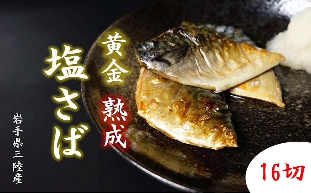 【定期便】塩サバ 切り身 16切　計 10回 発送