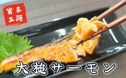 【2ヶ月 定期便】大槌銀鮭(ひと塩)切り身8切(1切れ真空包装約80g〜100g)×2回 計16切