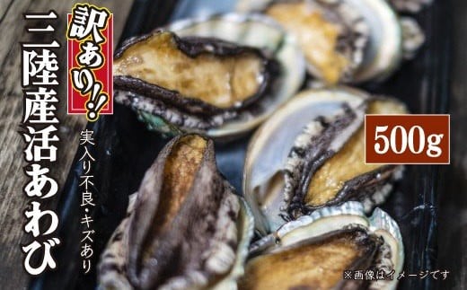 【※訳あり※】【11月～12月発送】 三陸産！活アワビ 約500g (3～5個)【数量限定】【08】｜冷蔵 三陸 岩手県 大槌町 あわび 人気 鮑 いわて iwate 2026 魚貝 鮮度抜群【配送日・曜日指定不可】