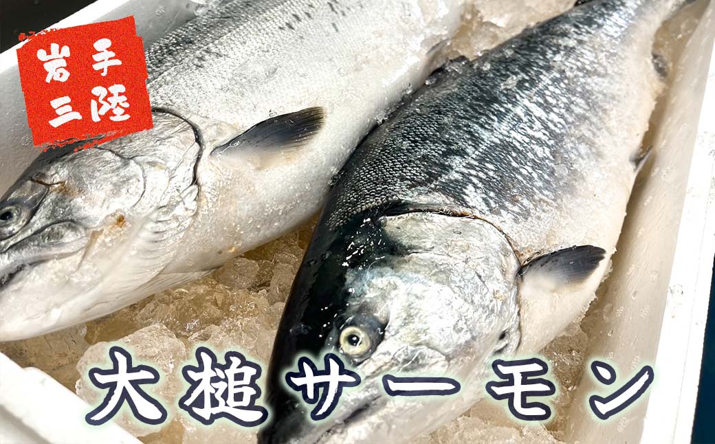 【12ヶ月 定期便】大槌銀鮭(ひと塩)切り身8切(1切れ真空包装約80g〜100g)×12回 計96切