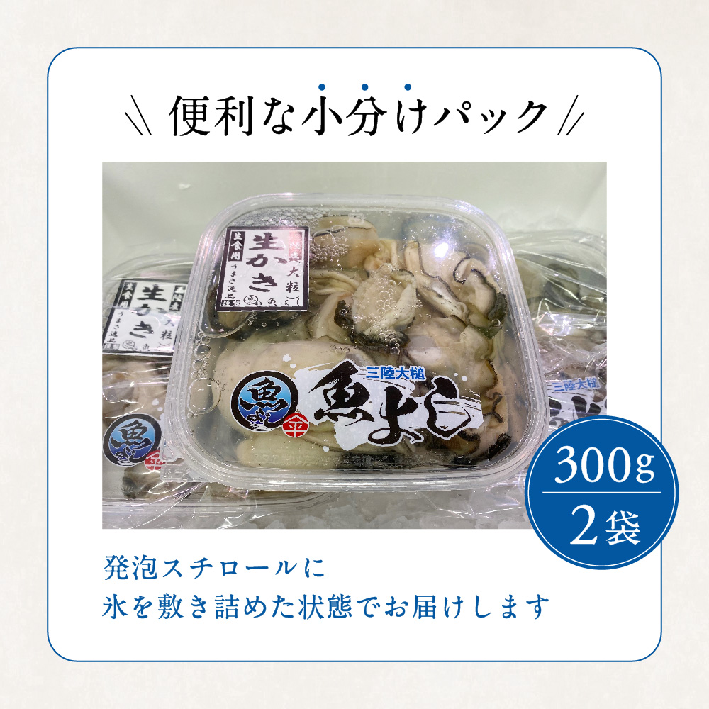 ［期間限定1月〜6月発送］【生食用】牡蠣 むき身 (300g×2パック)【配送日指定不可】