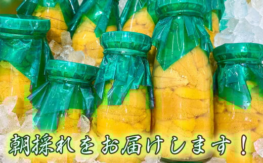 【令和8年発送先行予約】 無添加『生うに』 天然 岩手三陸産 朝獲れ ミョウバン不使用 150g×1【2028年4月下旬～8月発送】[15]