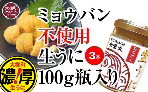 【令和8年6月発送先行予約】三陸産 生うに 瓶詰100g×3本 【35】