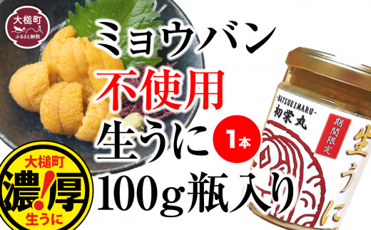 【令和8年6月発送先行予約】三陸産 生うに瓶詰100g×1本【35】