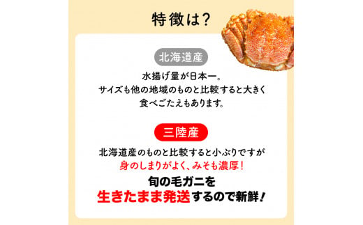 【令和7年発送】三陸産！活毛ガニセット  300g相当×2杯【2025年2月~4月発送】【配送日指定不可】