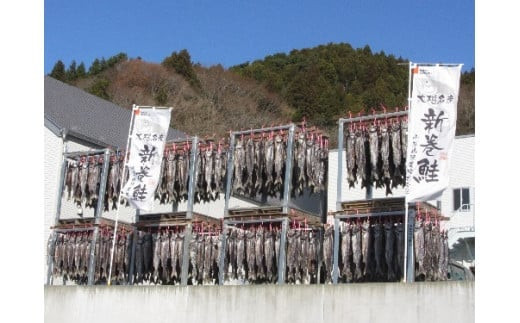 【2026年12月中旬より発送】新巻鮭 丸ごと 輪切り サーモン 切身 鮭 サケ 焼き魚 1本 