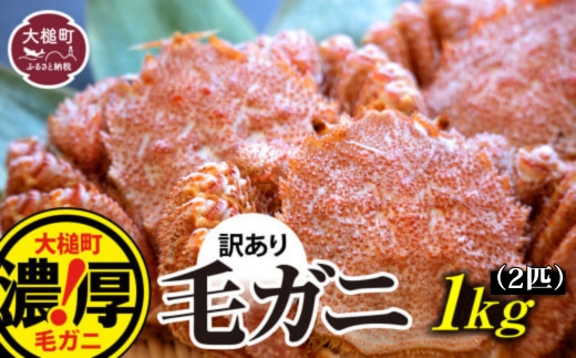 【訳あり】【令和9年発送】三陸産！活毛ガニ 1kg (2杯)【08】【2027年2月～4月発送】【配送日指定不可】
