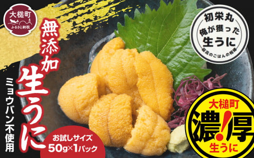 【お試し50g×1パック】【令和7年6月発送】三陸産生うに 【配送日指定不可】［35］  《キタムラサキウニ》《無添加》《三陸産は濃厚な味》 魚貝類 雲丹 ウニ  塩水  魚介 海産物 海の幸 うに丼 刺身  朝どれ