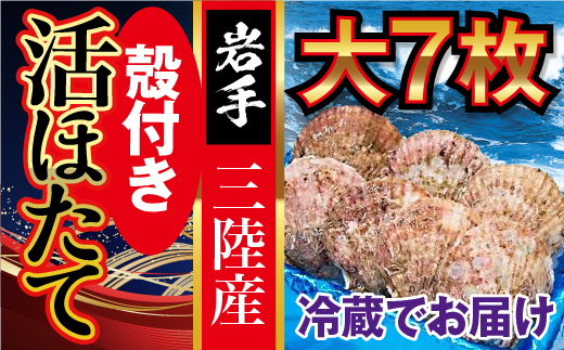 ■朝獲れ三陸活ホタテセット  (大 7枚)生食用　大玉 肉厚 大粒 三陸産 刺身 ほたて 帆立 殻付き 活 ホタテ 冷蔵 新鮮 朝獲れ 海鮮 人気 甘い魚介 魚介類 貝 貝類