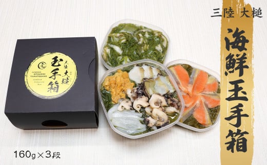 【ご贈答】三陸 玉手箱 約480g (160g前後×3段)